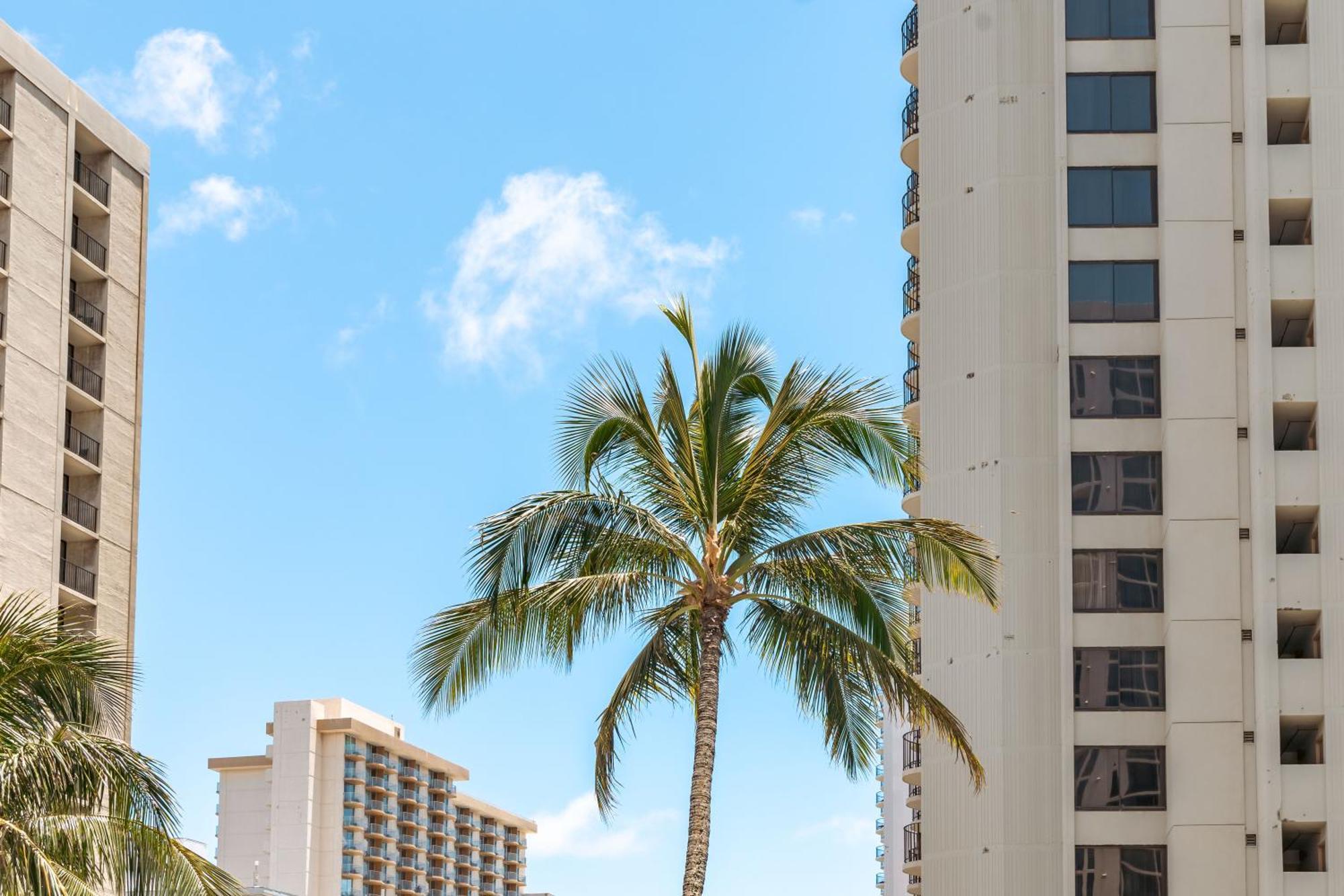 Beautiful 1Br, Steps To Waikiki Beach And Parking โฮโนลูลู ภายนอก รูปภาพ